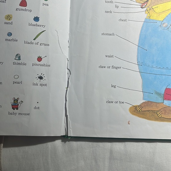 Richard Scarry’s Best Word Book Ever - Picture 5 of 5